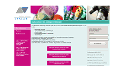 Desktop Screenshot of lbmexalab.com